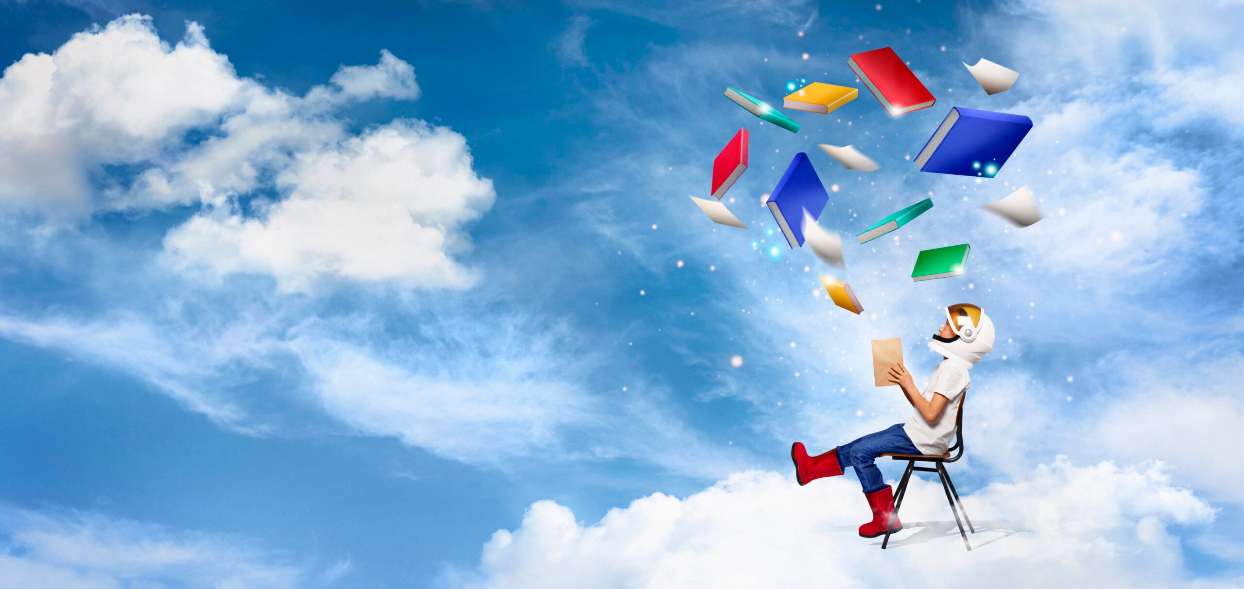 IB Diploma Programme