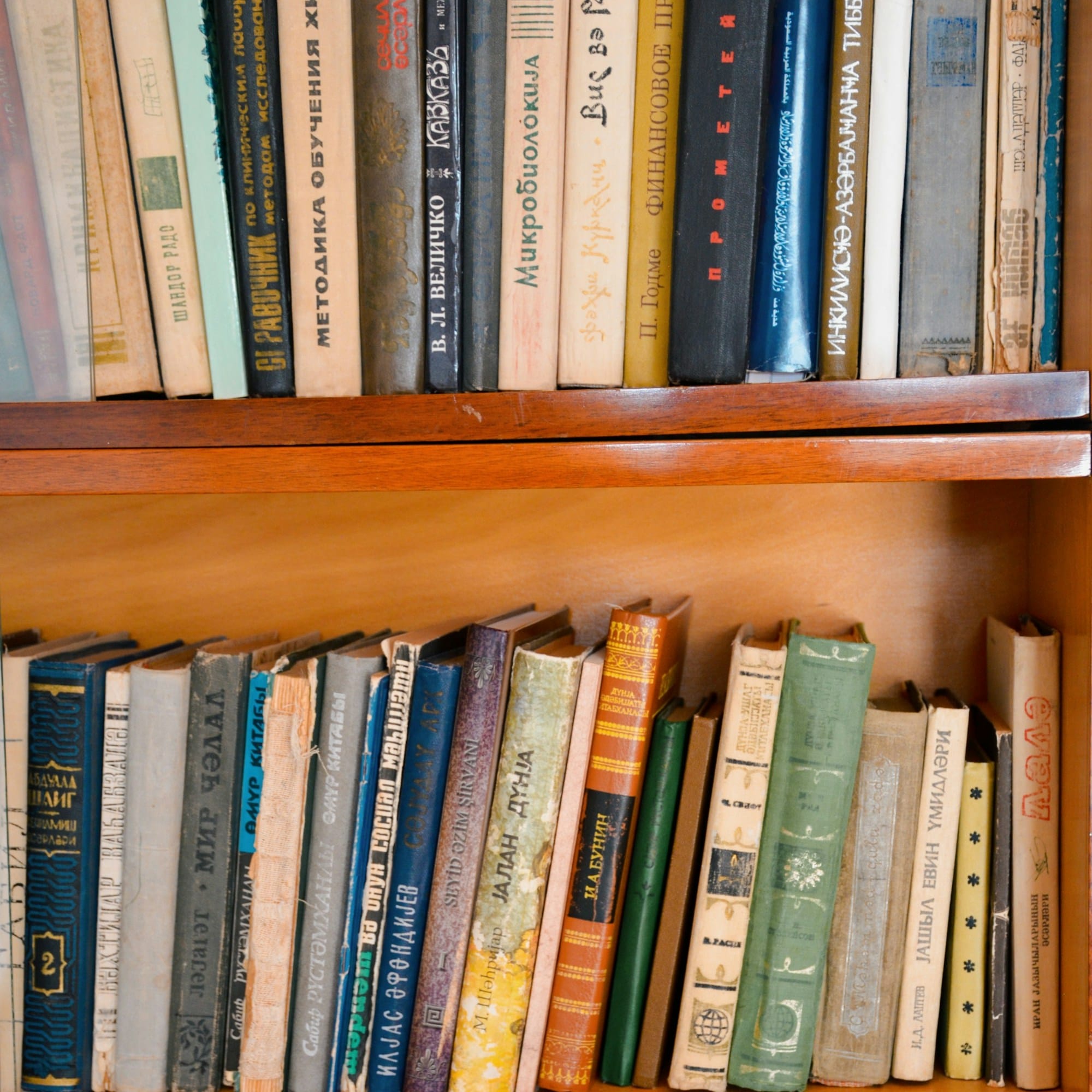 Bookshelf for IGCSE tutoring centre article