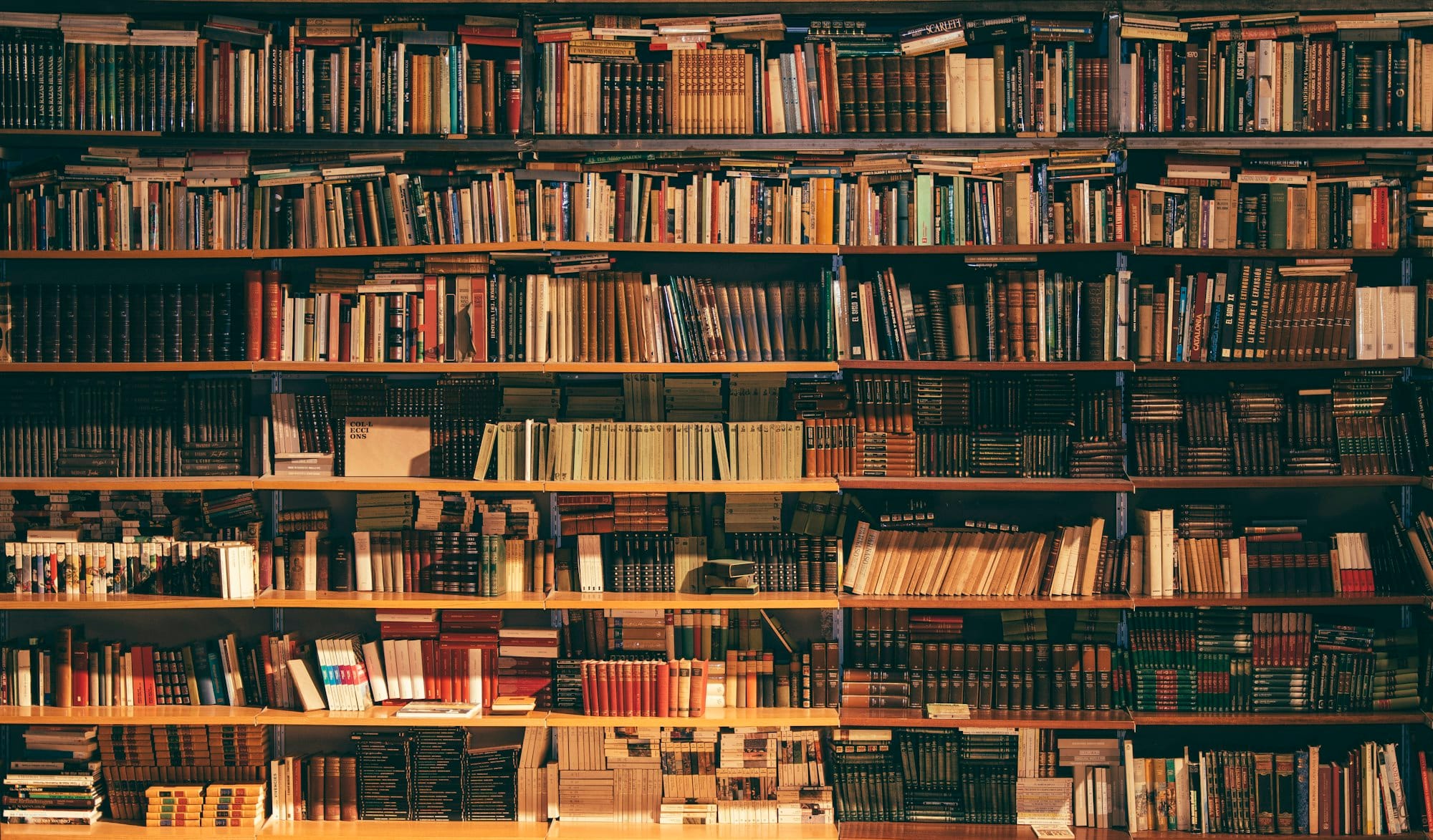 A library with books representing IGCSE study