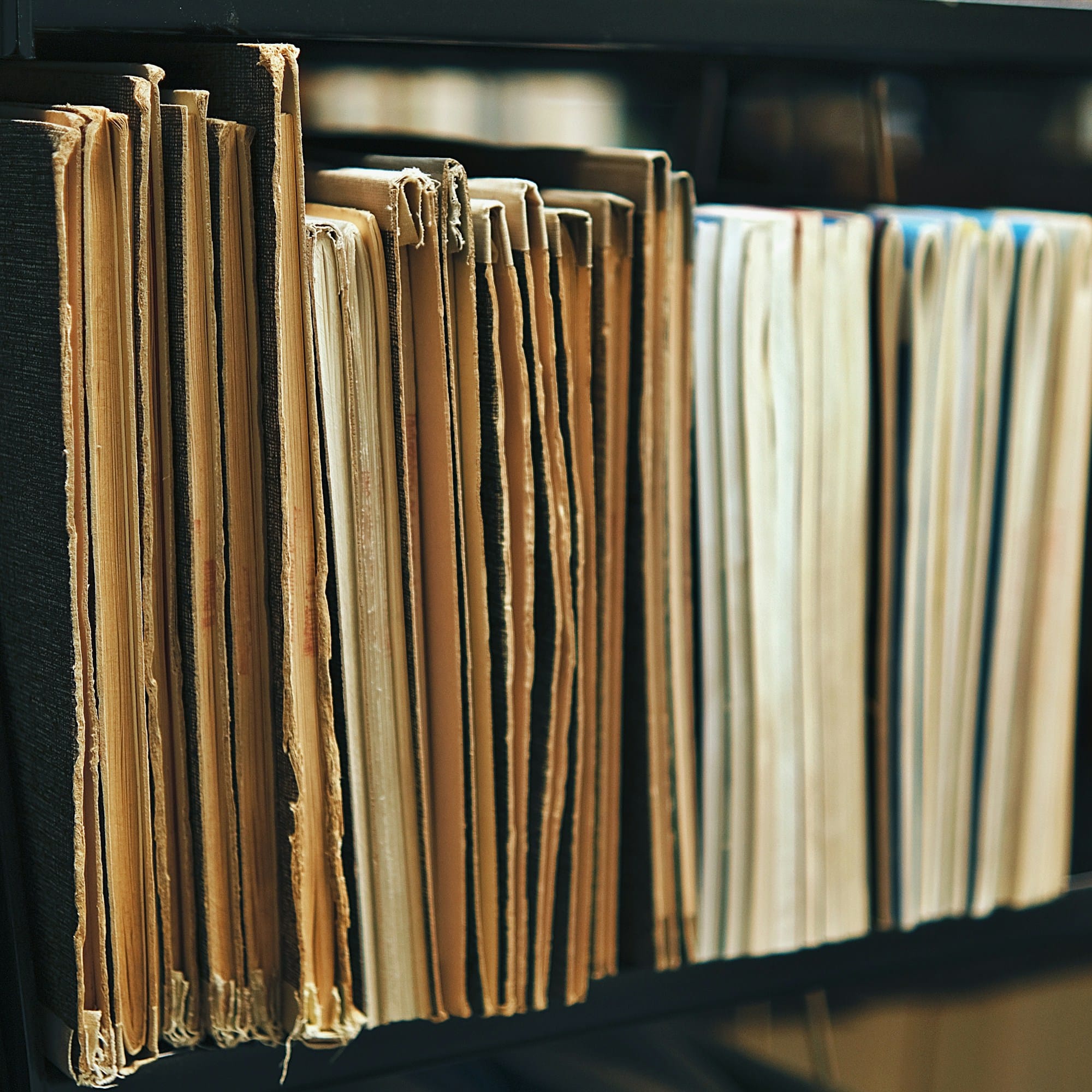 bookshelf filled with books